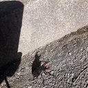 ���� ������, �����������, 46 ��� - ��������� 4 ���� 2023 � ������ ���� ����������