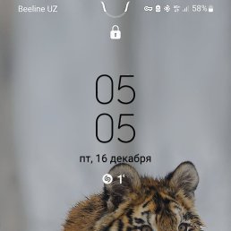 ��������, �������, 26 ���