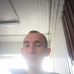 ������, ������, 41 ���