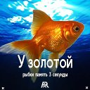 ���� ������, ������ - ��������� 20 �������� 2023 � ������ ���� ����������