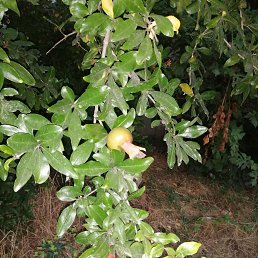 ���� ���������, ������, 61 ��� - ��������� 9 ���� 2023