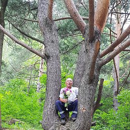 �����, ������, 58 ���