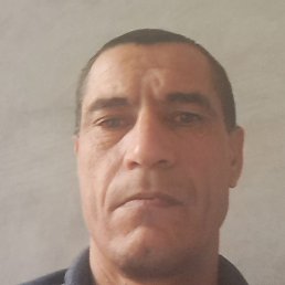 ����, ������, 37 ���