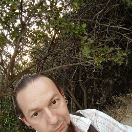 Freak, ���������, 36 ���