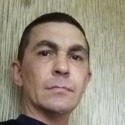 �������, ���������, 46 ���