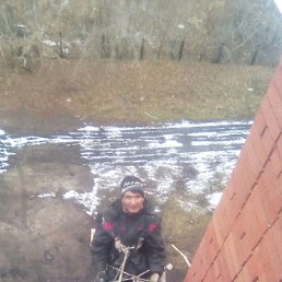 ���� �������� ����, �����-���������, 41 ��� - ��������� 17 ��� 2023