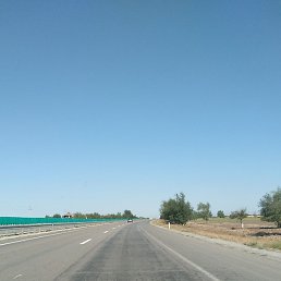 ����, �������, 41 ���