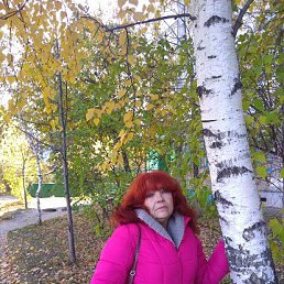 ���� �������, ������, 66 ��� - ��������� 19 ���� 2023