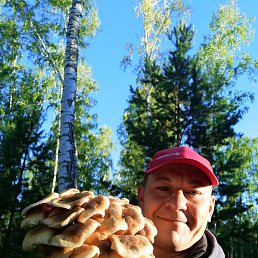 ����, ������, 48 ���