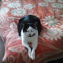 ���� �������, ��������, 68 ��� - ��������� 5 ���� 2023