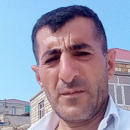 Fazil, ����, 51 ���