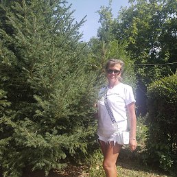 �����, ���������, 50 ���