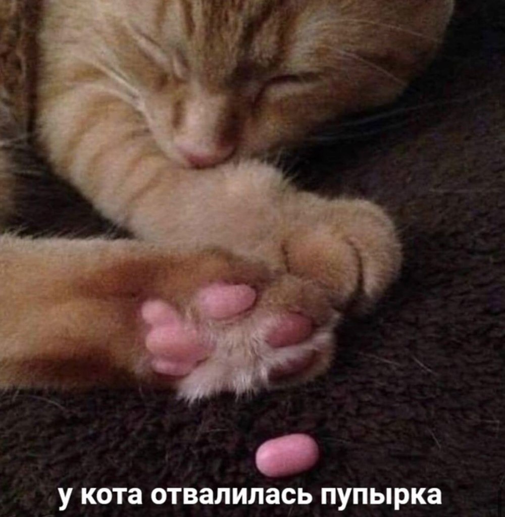    - 22  2023  13:23