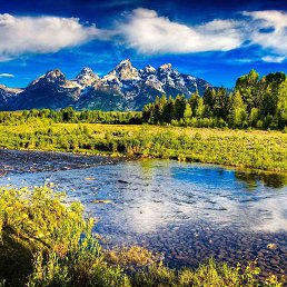 Dima, ��������, 40 ���