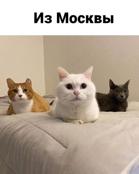  ) - 2