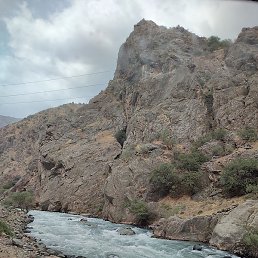 ������, ������, 39 ���