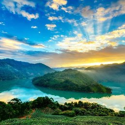 ������, �����, 65 ���