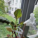 ���� ������, ������, 36 ��� - ��������� 8 ��� 2023