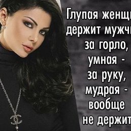 ���� �����, ������, 41 ��� - ��������� 25 ������� 2023