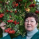 ���� ���������, ������, 77 ��� - ��������� 2 ������� 2023 � ������ ���� ����������