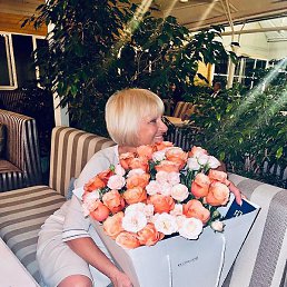 �����, ���������-43, 66 ���