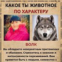 ���� �� ����, ������, 81 ��� - ��������� 2 ����� 2023