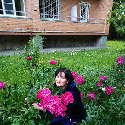 ������, �������, 72 ����