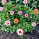 ���� Ludmyla, �������������, 63 ���� - ��������� 30 ���� 2023