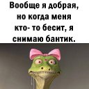 ���� ������, ���������, 49 ��� - ��������� 31 ����� 2023