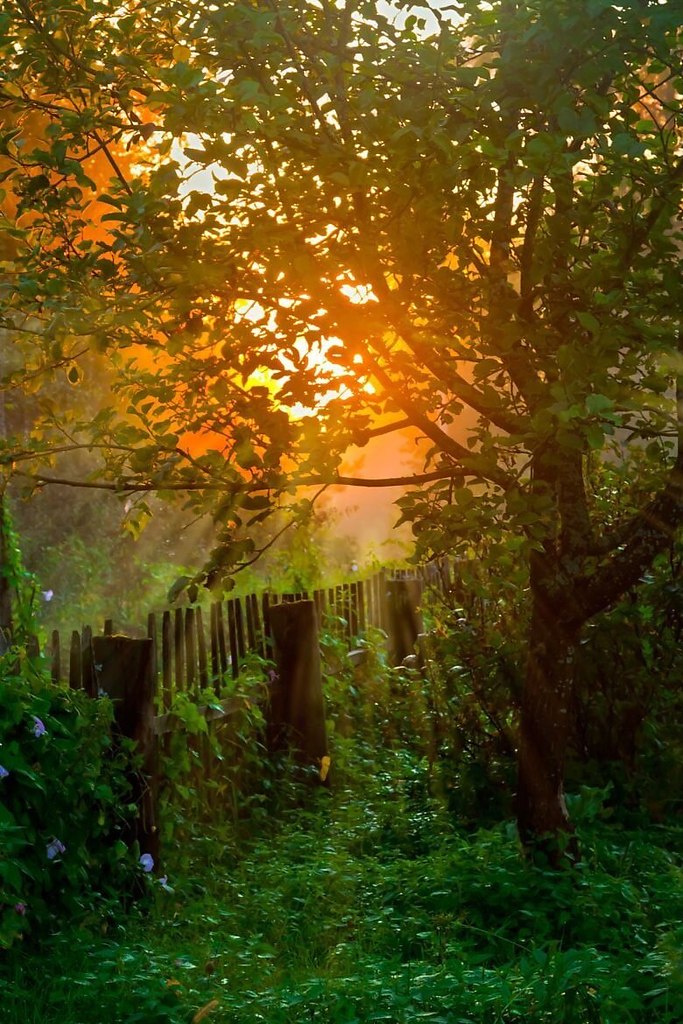 ,    . .  ...       .  ... - 4