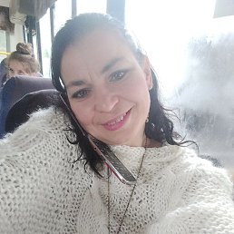 ����, ��������, 44 ����