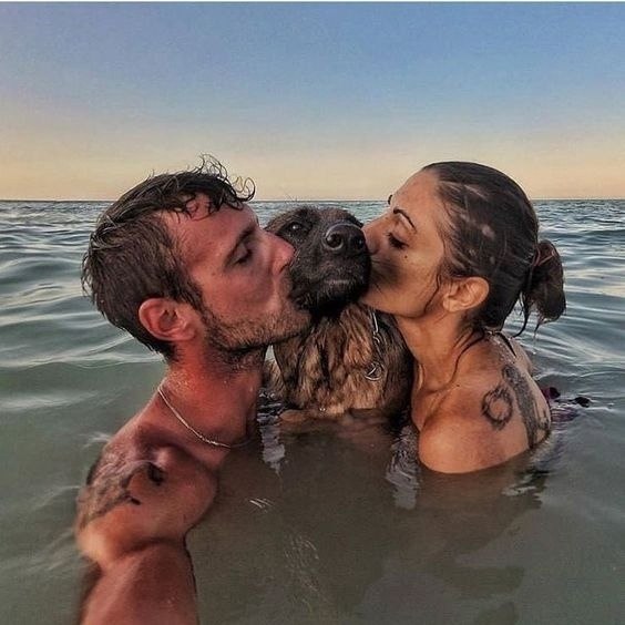 ��� �������� ������
