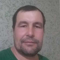 ������, ������, 40 ���