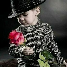 �����, �����, 44 ����