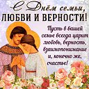 ���� �������, �����, 72 ���� - ��������� 8 ���� 2023 � ������ ���� ����������