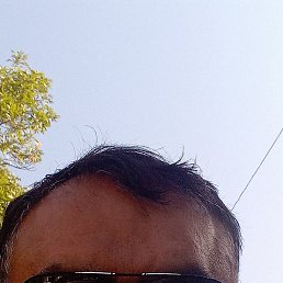 , , 51 