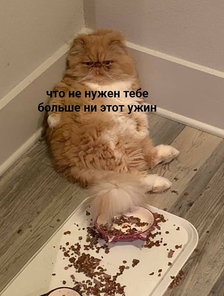 Осенняя депрессия пришла - 2