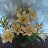���� ����, �������, 53 ���� - ��������� 26 ���� 2023