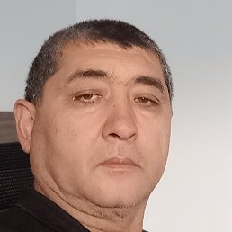 ������, �������, 55 ���