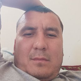 ���������, �������, 40 ���