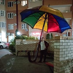 ������, ���������, 37 ���