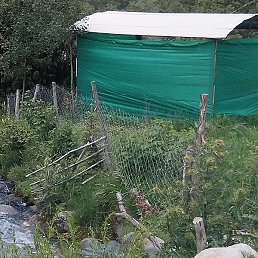 Mukhammed, ������, 24 ����