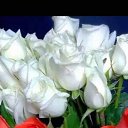 ���� ���, �����-���������, 66 ��� - ��������� 9 �������� 2023 � ������ ���� ����������