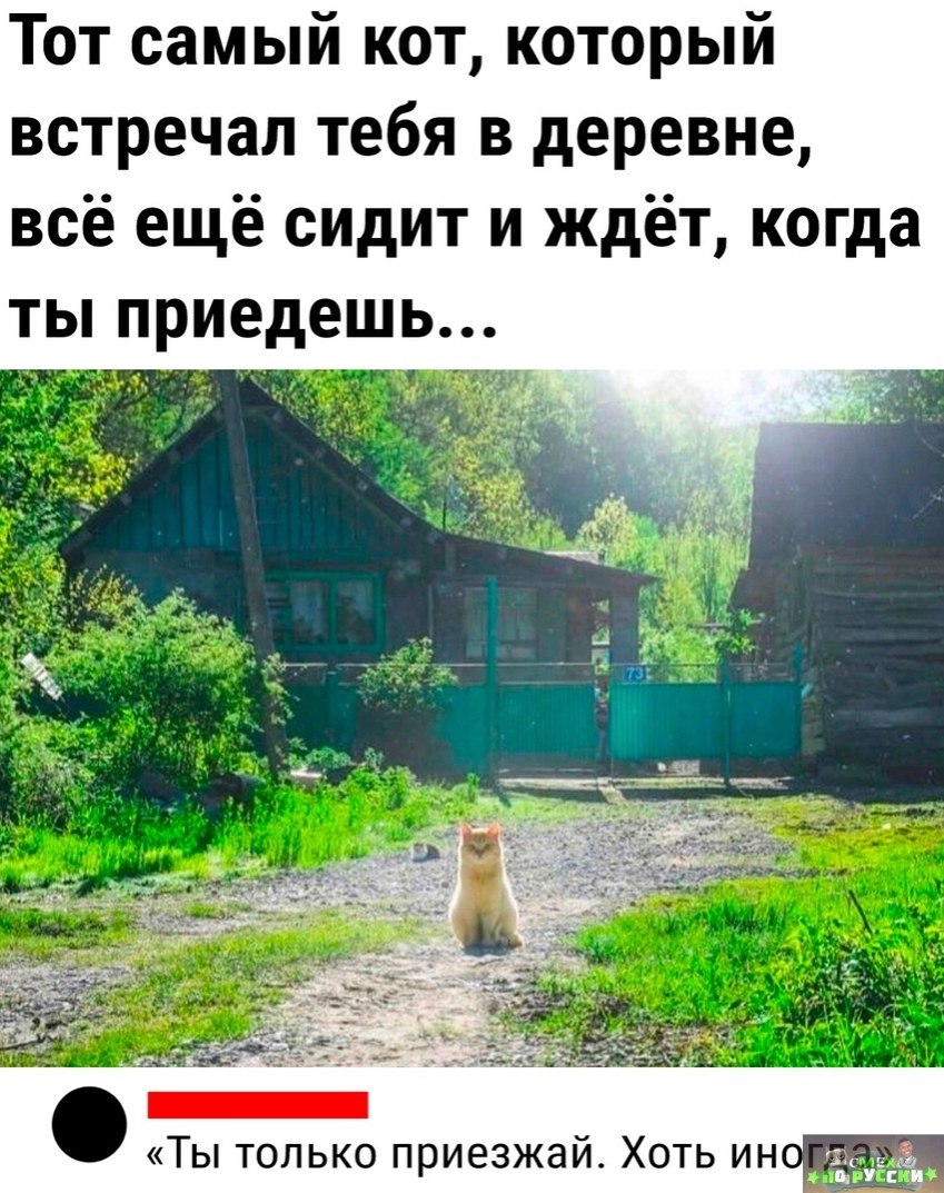  - 15  2023  10:51