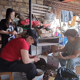 �������, ����������, 65 ���