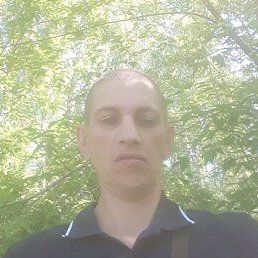 ���������, ���������, 51 ���