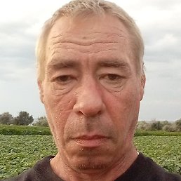 ������, ������, 49 ���