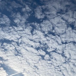 ����, ������, 38 ���