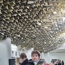 ���� ����, ������, 66 ��� - ��������� 1 ������ 2023 � ������ ���� ����������