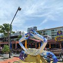 ���� �������, �����-��������� - ��������� 7 ������ 2023 � ������ ������ ��������